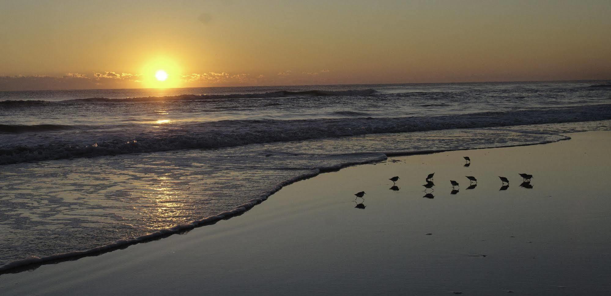 Club Sea Oats By Capital Vacations Motel Daytona Beach Shores Eksteriør bilde